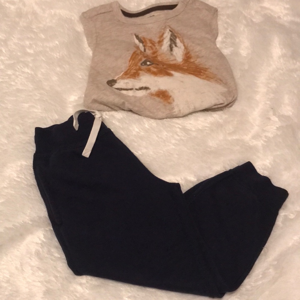 ‼️SOLD‼️ hanna Andersson Organic Jogger Sweats